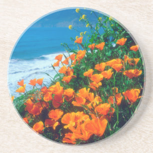 Mohnblumen entlang der Pazifikküste bei Big Sur Getränkeuntersetzer
