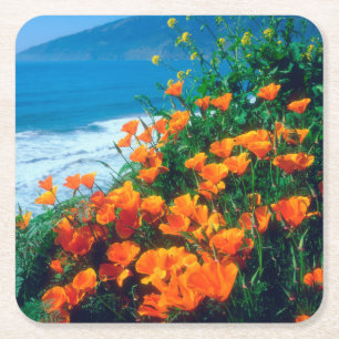 Mohnblumen entlang der Pazifikküste bei Big Sur Rechteckiger Pappuntersetzer