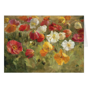 Mohnblumen-Feld
