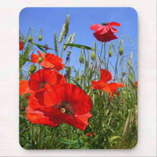 MOHNBLUMEN-FELD ~ Mousepad # 6