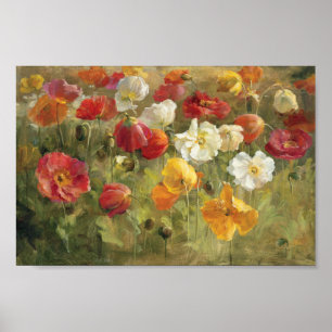 Mohnblumen-Feld Poster