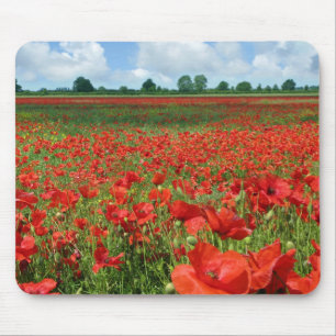 Mohnblumen-Felder Mousepad