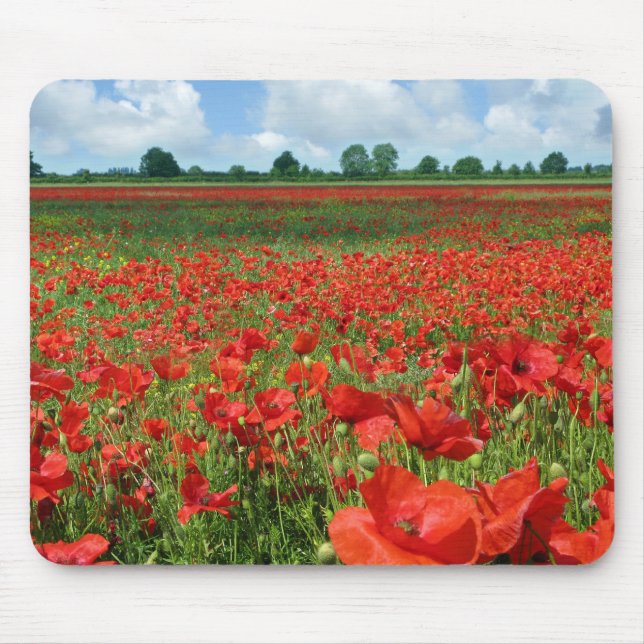Mohnblumen-Felder Mousepad (Vorne)
