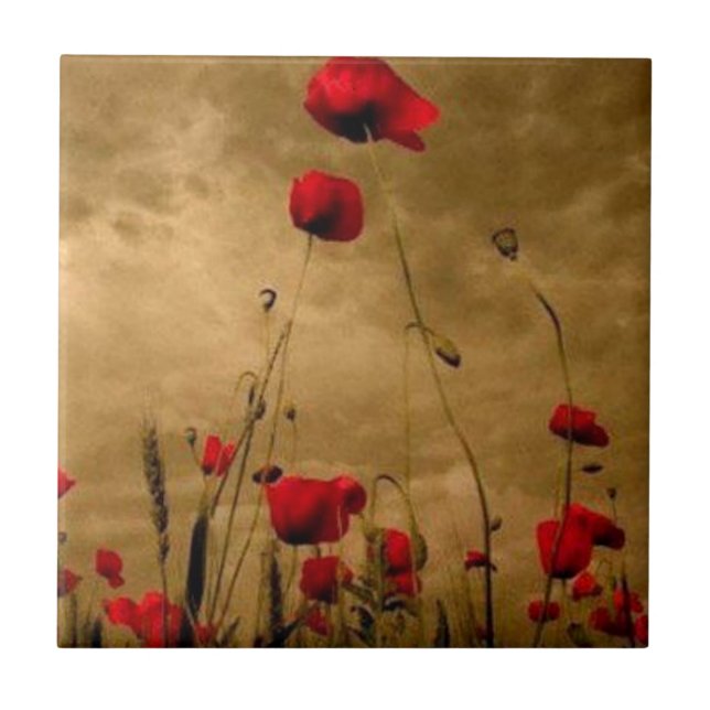 Mohnblumen Fliese (Vorderseite)