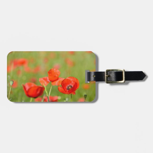 Mohnblumen in einem Mohnblumenfeld-Gepäckanhänger Gepäckanhänger (Vorderseite horizontal)