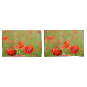 Mohnblumen in einem Mohnblumenfeld-Kissenkasten Kissenbezug
