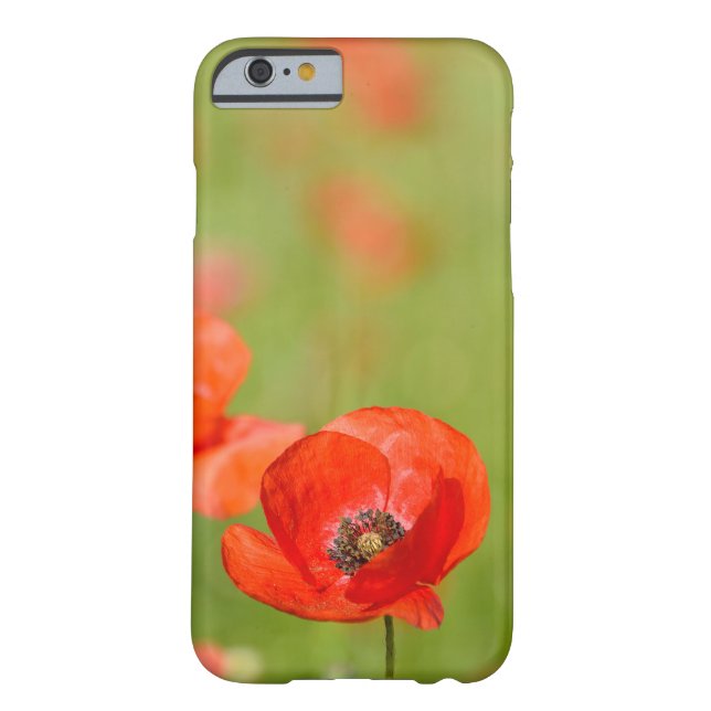 Mohnblumen in einem Mohnblumenfeld-Telefonkasten Case-Mate iPhone Hülle (Rückseite)