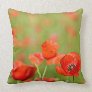 Mohnblumen in einem Mohnblumenfeld-Wurfskissen Kissen