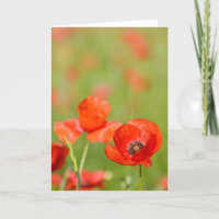 Mohnblumen in einer Mohnblumenfeld-Grußkarte
