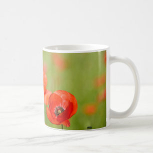 Mohnblumen in einer Mohnblumenfeld-Tasse Kaffeetasse