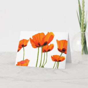 Mohnblumen! Karte