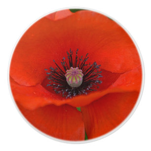 Mohnblumen-Keramik-Griff Keramikknauf