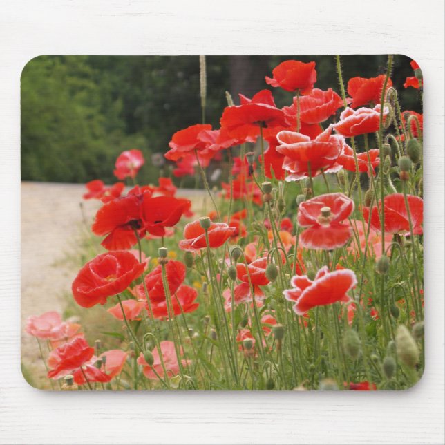 Mohnblumen mousepad (Vorne)