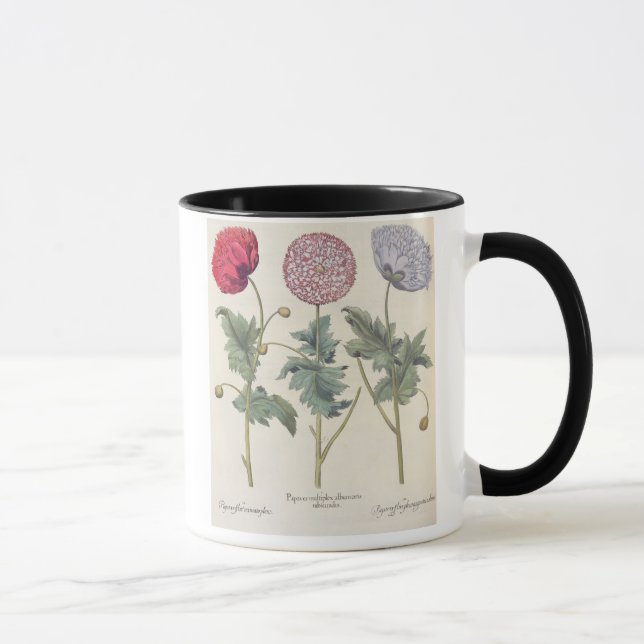 Mohnblumen: Multiplexalbumoris 1.Papaver Tasse (Rechts)