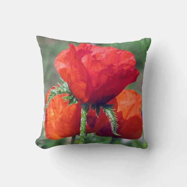 Mohnblumen ordnen ein BaumwollWurfs-Kissen 16x16 Kissen (Vorderseite)