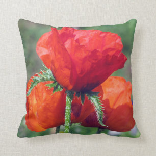 Mohnblumen ordnen ein BaumwollWurfs-Kissen 16x16 Kissen