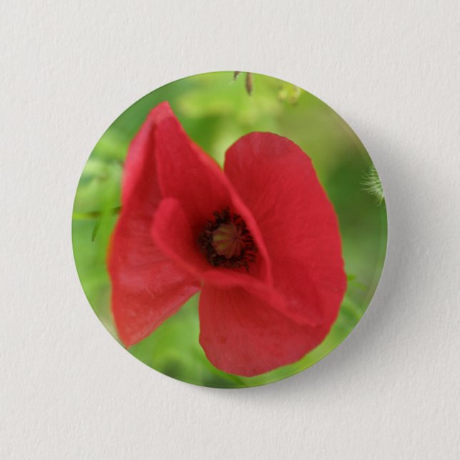 Mohnblumen-Rot Button (Vorderseite)
