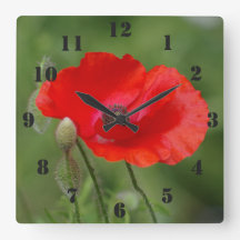 Mohnblumen-Uhr