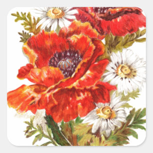 Mohnblumen und Gänseblümchen Quadratischer Aufkleber