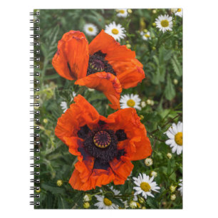 Mohnblumen und Gänseblümchennotizbuch Notizblock