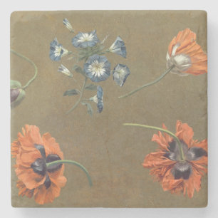 Mohnblumen und Tradascanthus (Öl auf Leinwand) Steinuntersetzer