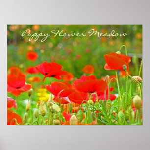 Mohnblumen-Wiesen Kunstposter Florale Mohnblumen Poster