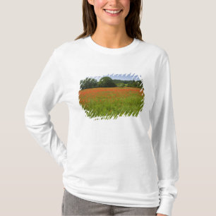 Mohnblumenfeld, Chiusi, Italien T-Shirt