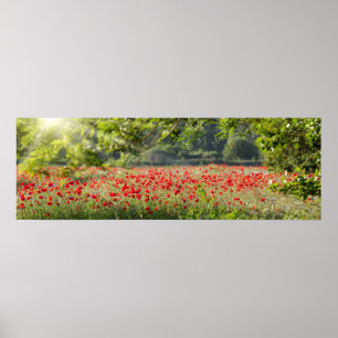 Mohnblumenfeldpanorama im Frühjahr Poster