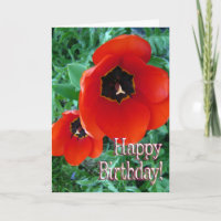 Mohnblüte Blume - Alles Gute zum Geburtstag!