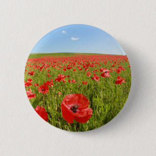Mohnfeld - Atemberaubend! Button