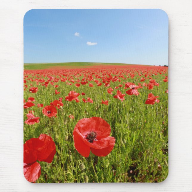 Mohnfeld - Atemberaubend! Mousepad (Vorne)