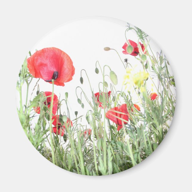 Mohnfeld Die Natur blüht Blume Magnet (Vorne)