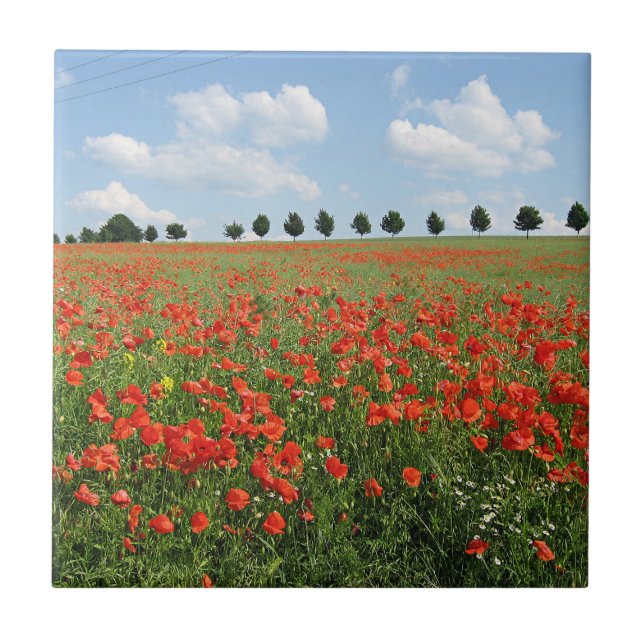Mohnfeld im Blut Fliese (Vorderseite)