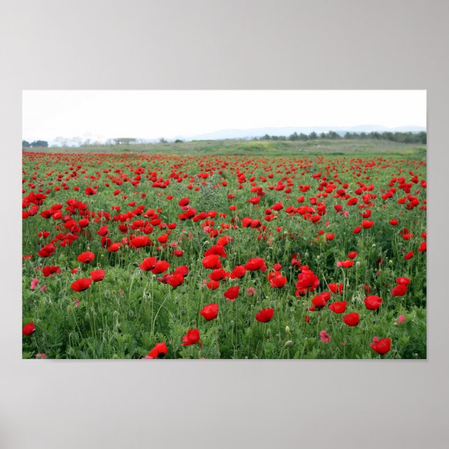 Mohnfeld Naturlandschaft Rote Blume  Poster (Vorne)