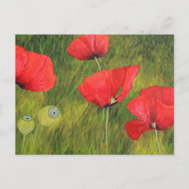 Mohnfeld Postkarte