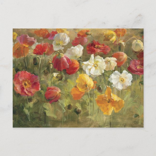 Mohnfeld Postkarte (Vorderseite)