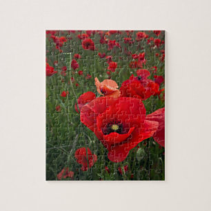 Mohnfeld-Puzzle/Jigsaw-Puzzle mit Zinn