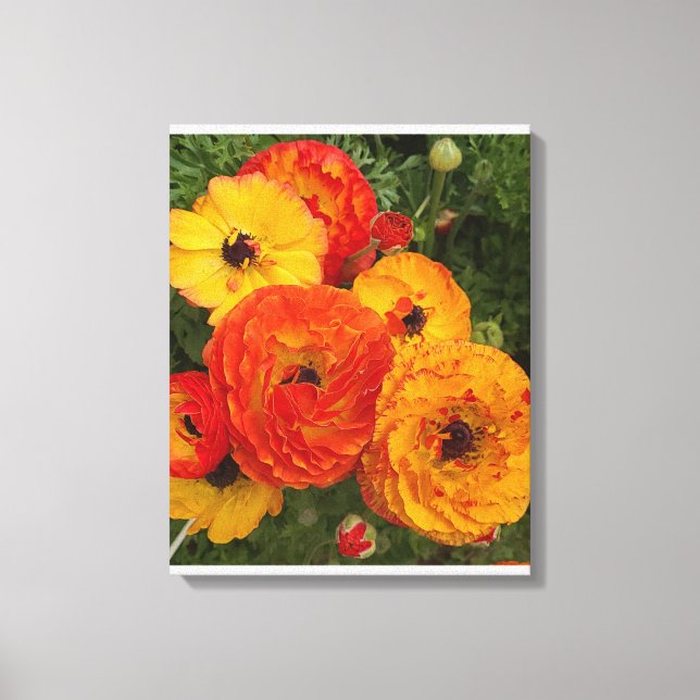 Mohnfotografie Stretched Canvas Print Leinwanddruck (Vorderseite)