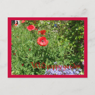 Mohngarten Postkarte
