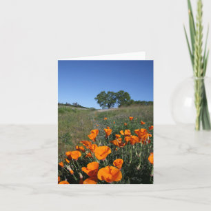 Mohnlandschaft, leere Notizkarte Karte