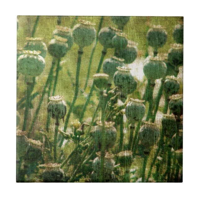 Mohnsamen-Blume Fliese (Vorderseite)