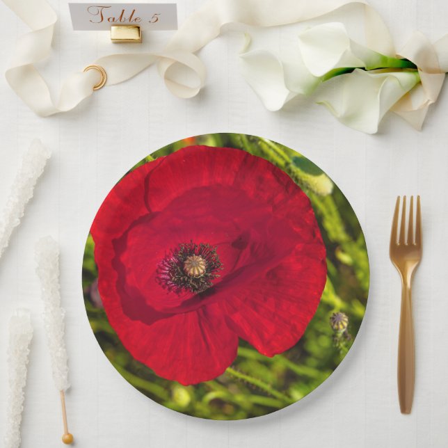 Mohnserie #2 pappteller (Hochzeit)