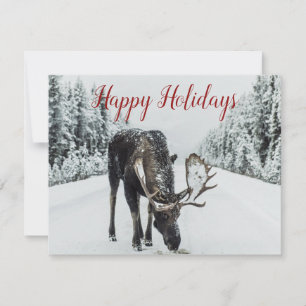Moine En Hiver Carte De Noël Neige
