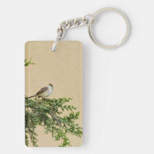 Moineau