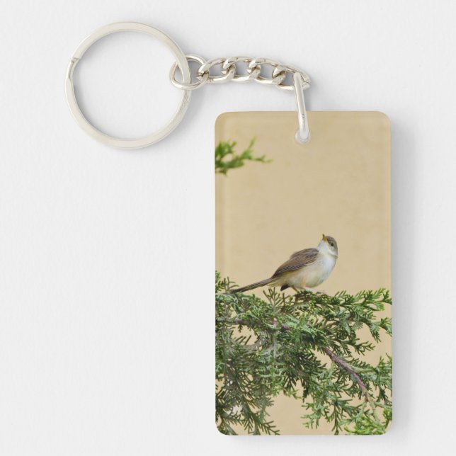 Moineau  (Devant)