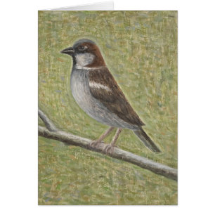 Moineau 2008 de Chambre