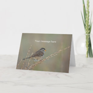 Moineau dans la carte de voeux de l'herbe 2