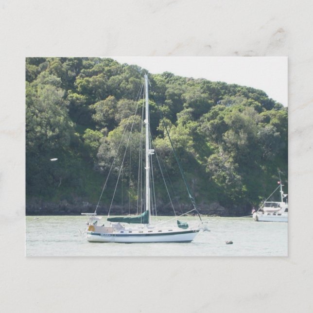 Moira auf Ankerplatz, Angel Island, San Francisco Postkarte (Vorderseite)