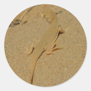 Mojave Fringe-Toed Lizard Runder Aufkleber