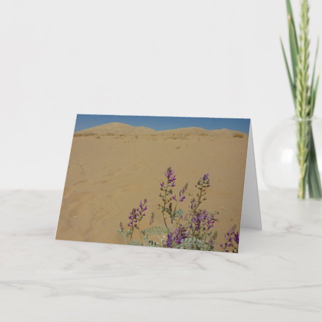Mojave Indigo Bush und Kelso Dunes Karte (Vorderseite)